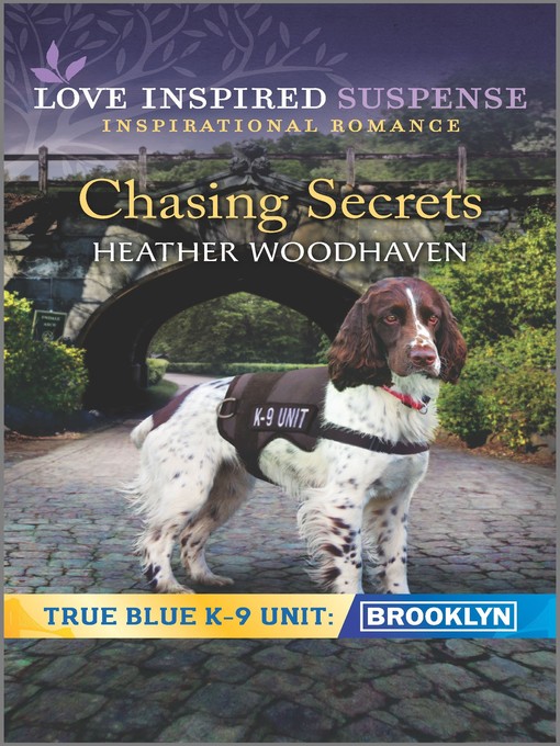 Title details for Chasing Secrets by Heather Woodhaven - Wait list
